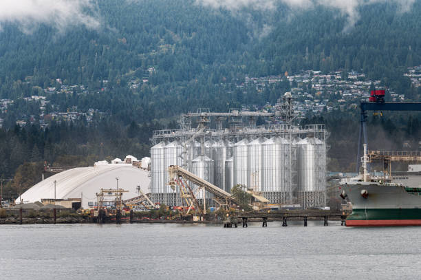 测试勿动(不占队列)